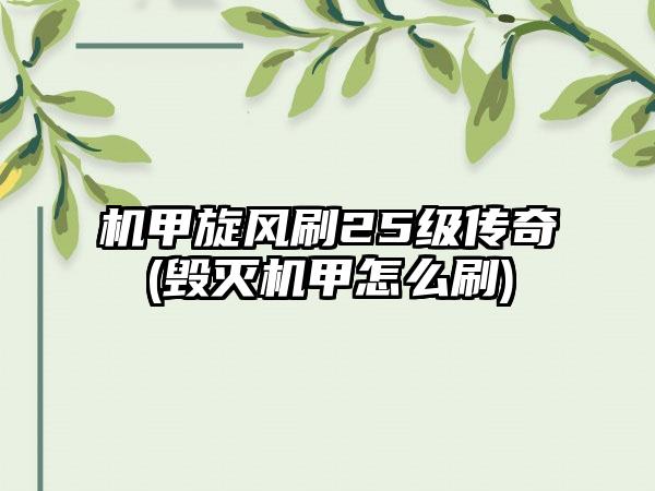 机甲旋风刷25级传奇(毁灭机甲怎么刷)