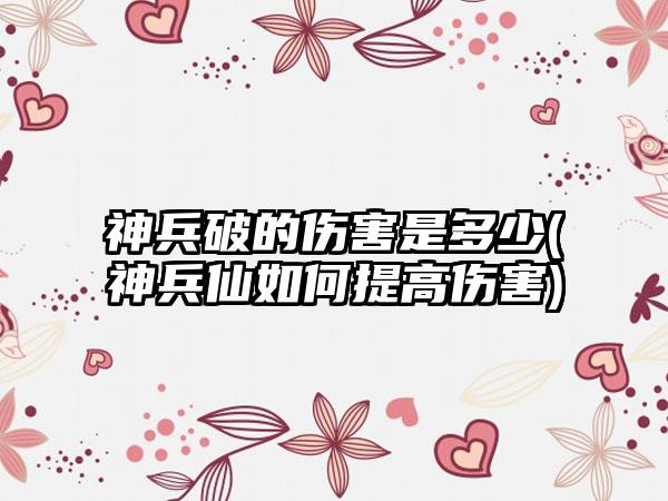 神兵破的伤害是多少(神兵仙如何提高伤害)