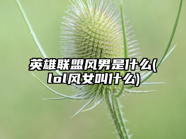 英雄联盟风男是什么(lol风女叫什么)