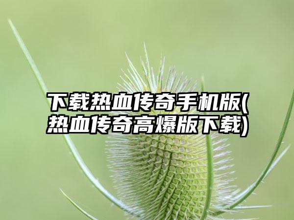 下载热血传奇手机版(热血传奇高爆版下载)