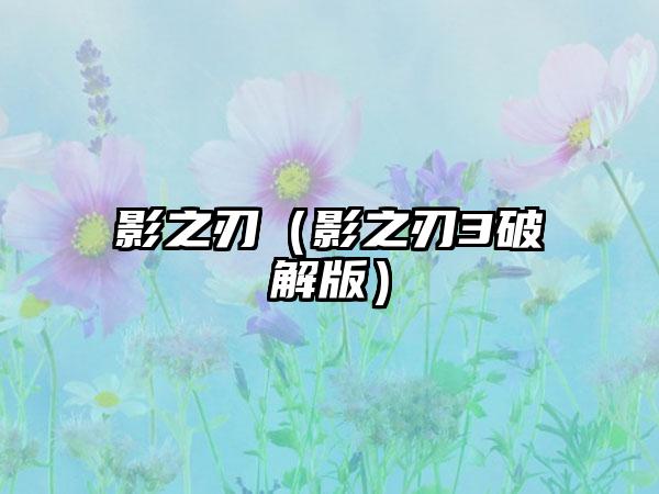 影之刃（影之刃3破解版）