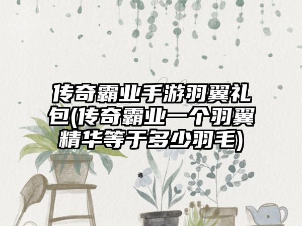 传奇霸业手游羽翼礼包(传奇霸业一个羽翼精华等于多少羽毛)