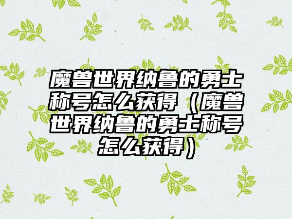 魔兽世界纳鲁的勇士称号怎么获得（魔兽世界纳鲁的勇士称号怎么获得）