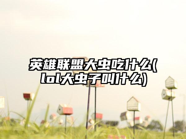 英雄联盟大虫吃什么(lol大虫子叫什么)
