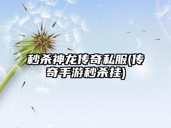 秒杀神龙传奇私服(传奇手游秒杀挂)