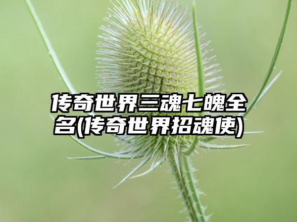 传奇世界三魂七魄全名(传奇世界招魂使)