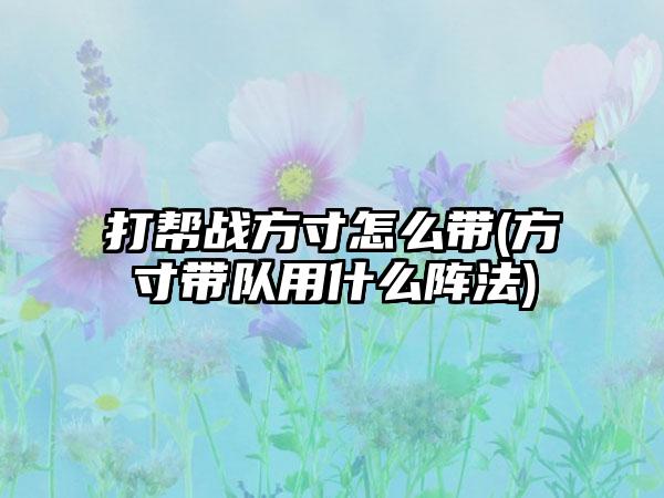 打帮战方寸怎么带(方寸带队用什么阵法)