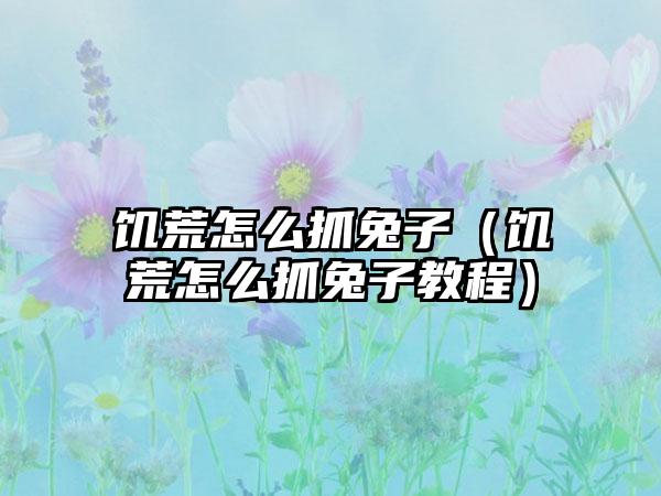 饥荒怎么抓兔子（饥荒怎么抓兔子教程）