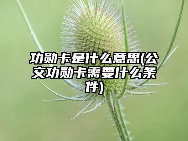 功勋卡是什么意思(公交功勋卡需要什么条件)