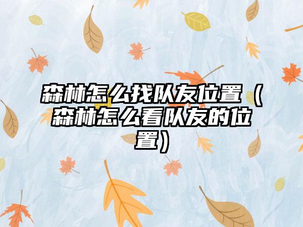 森林怎么找队友位置（森林怎么看队友的位置）