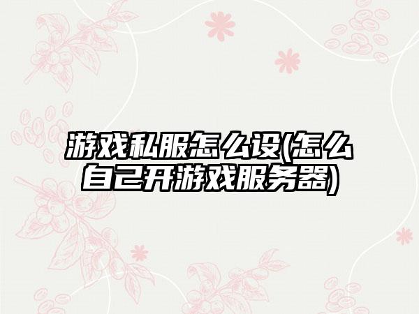 游戏私服怎么设(怎么自己开游戏服务器)