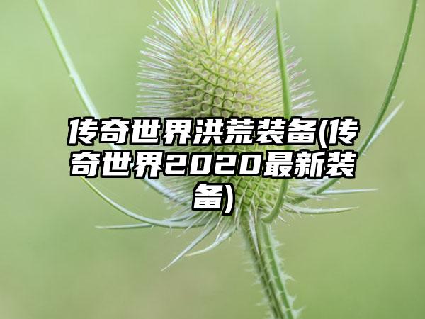 传奇世界洪荒装备(传奇世界2020最新装备)