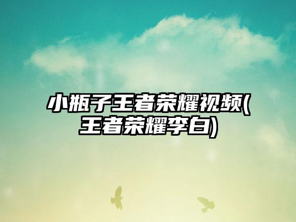 小瓶子王者荣耀视频(王者荣耀李白)