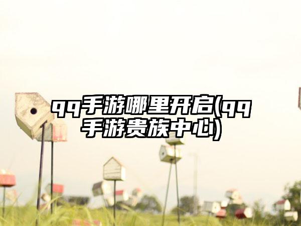 qq手游哪里开启(qq手游贵族中心)