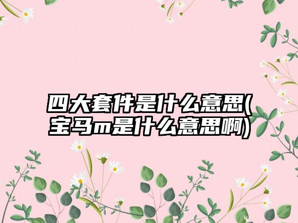 四大套件是什么意思(宝马m是什么意思啊)