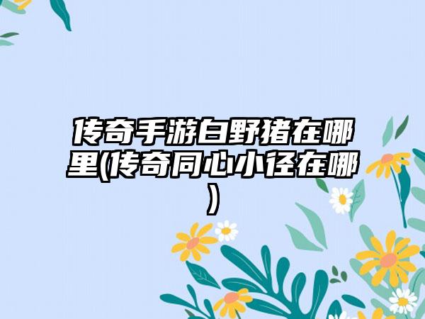 传奇手游白野猪在哪里(传奇同心小径在哪)