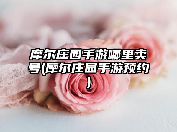 摩尔庄园手游哪里卖号(摩尔庄园手游预约)