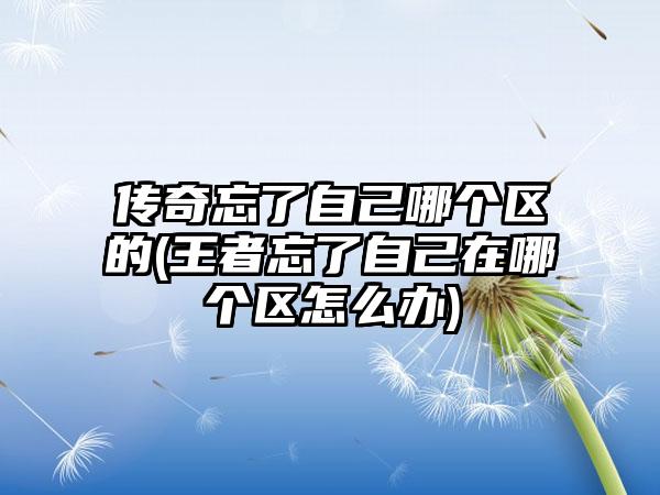 传奇忘了自己哪个区的(王者忘了自己在哪个区怎么办)