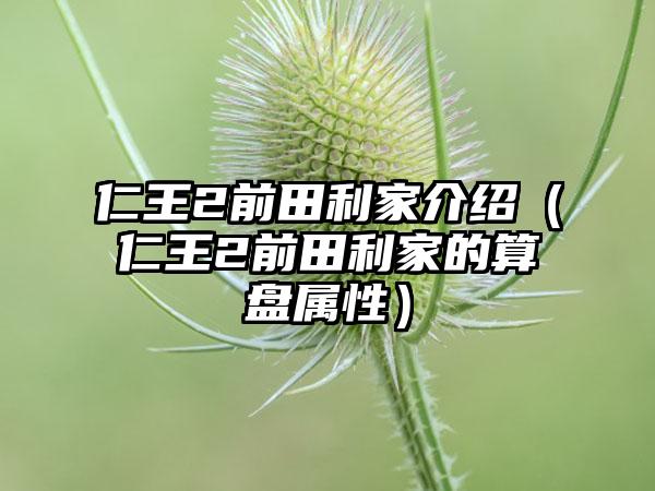 仁王2前田利家介绍（仁王2前田利家的算盘属性）