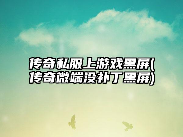 传奇私服上游戏黑屏(传奇微端没补丁黑屏)