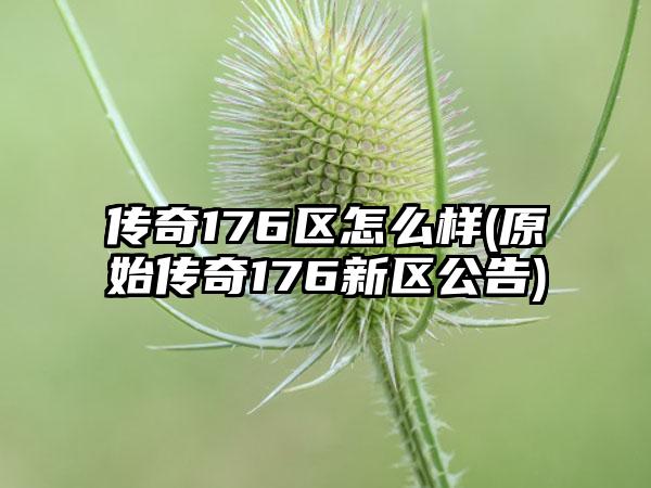 传奇176区怎么样(原始传奇176新区公告)