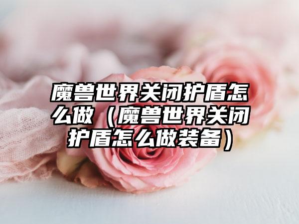 魔兽世界关闭护盾怎么做（魔兽世界关闭护盾怎么做装备）