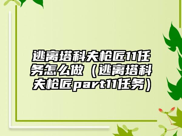 逃离塔科夫枪匠11任务怎么做（逃离塔科夫枪匠part11任务）