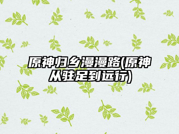 原神归乡漫漫路(原神从驻足到远行)