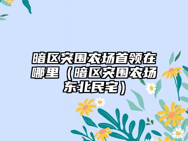 暗区突围农场首领在哪里（暗区突围农场东北民宅）