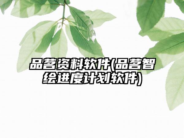 品茗资料软件(品茗智绘进度计划软件)