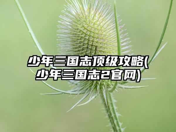 少年三国志顶级攻略(少年三国志2官网)