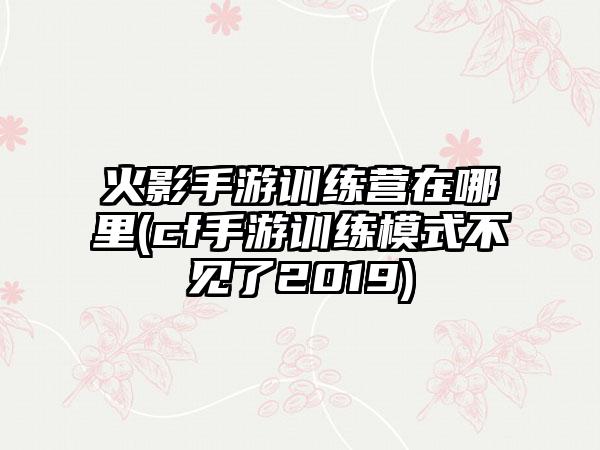 火影手游训练营在哪里(cf手游训练模式不见了2019)