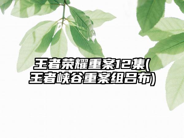 王者荣耀重案12集(王者峡谷重案组吕布)