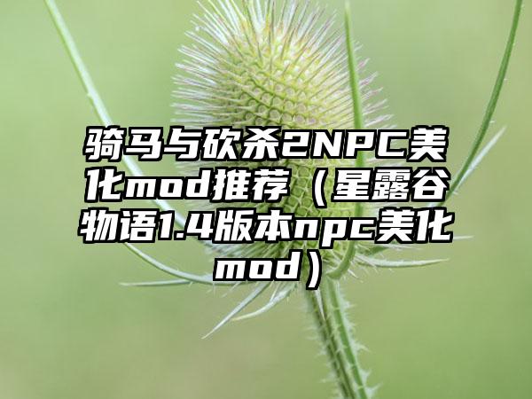 骑马与砍杀2NPC美化mod推荐（星露谷物语1.4版本npc美化mod）