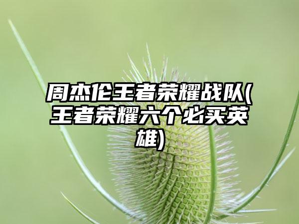 周杰伦王者荣耀战队(王者荣耀六个必买英雄)