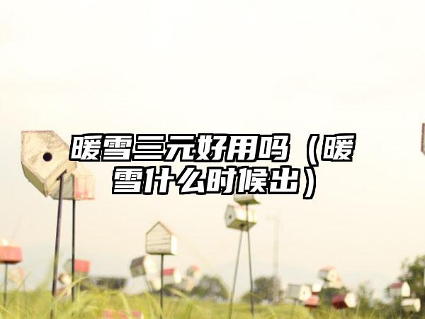 暖雪三元好用吗（暖雪什么时候出）