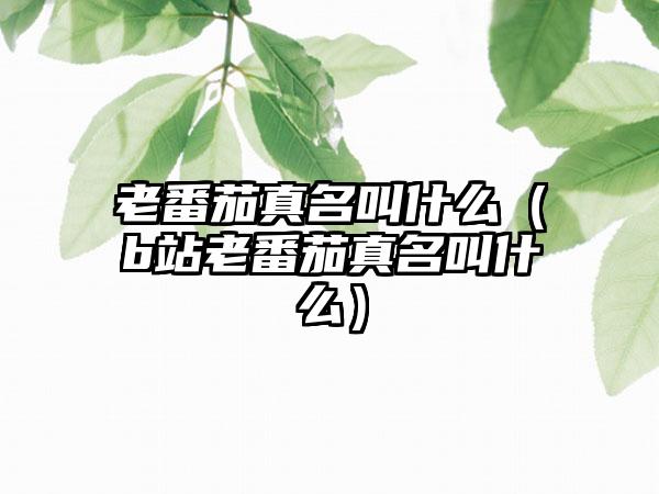 老番茄真名叫什么（b站老番茄真名叫什么）