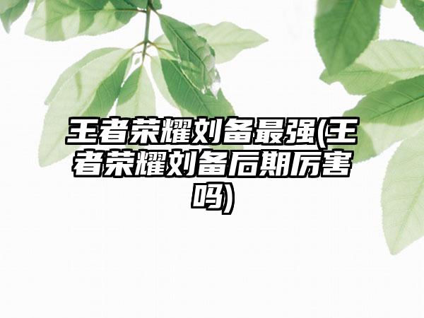 王者荣耀刘备最强(王者荣耀刘备后期厉害吗)