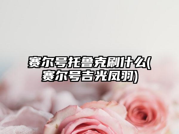 赛尔号托鲁克刷什么(赛尔号吉光凤羽)