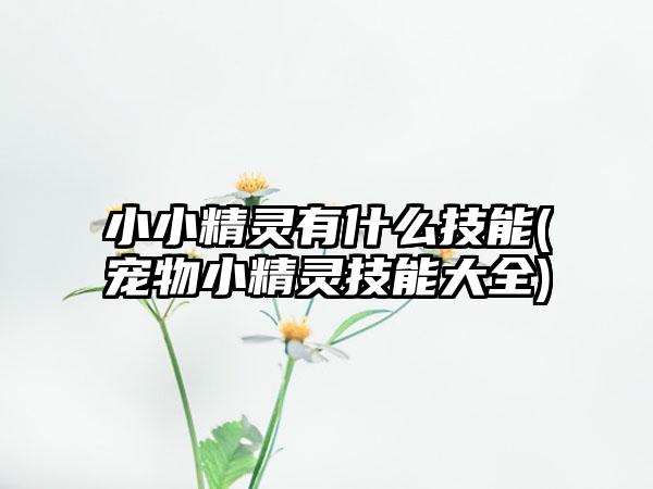 小小精灵有什么技能(宠物小精灵技能大全)