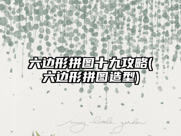 六边形拼图十九攻略(六边形拼图造型)