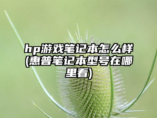 hp游戏笔记本怎么样(惠普笔记本型号在哪里看)