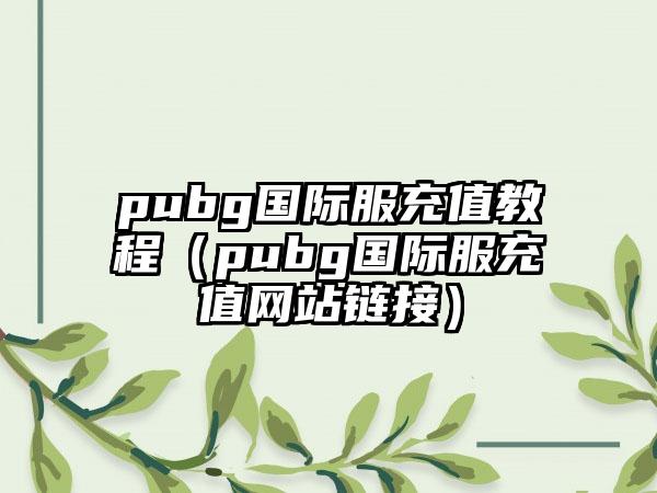 pubg国际服充值教程（pubg国际服充值网站链接）