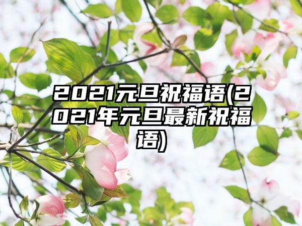 2021元旦祝福语(2021年元旦最新祝福语)