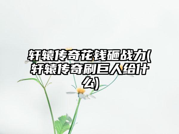 轩辕传奇花钱砸战力(轩辕传奇刷巨人给什么)