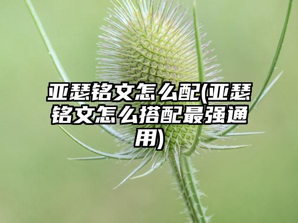亚瑟铭文怎么配(亚瑟铭文怎么搭配最强通用)