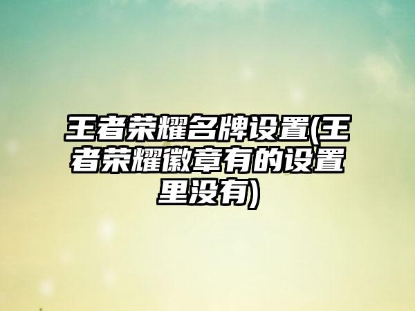 王者荣耀名牌设置(王者荣耀徽章有的设置里没有)
