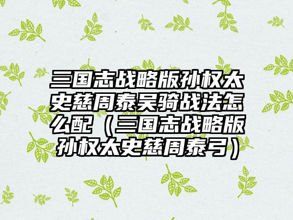 三国志战略版孙权太史慈周泰吴骑战法怎么配（三国志战略版孙权太史慈周泰弓）