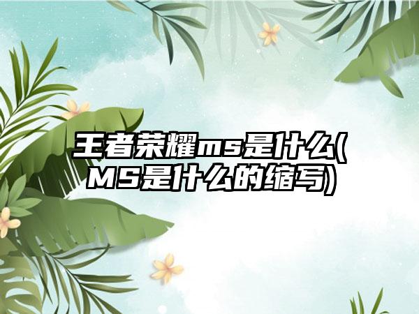 王者荣耀ms是什么(MS是什么的缩写)
