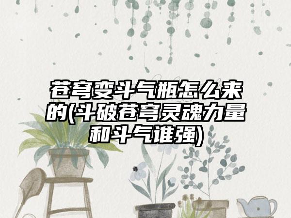 苍穹变斗气瓶怎么来的(斗破苍穹灵魂力量和斗气谁强)